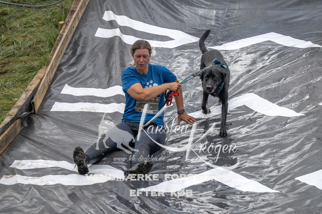 1528_ZZ93629 | kk-dogfotos