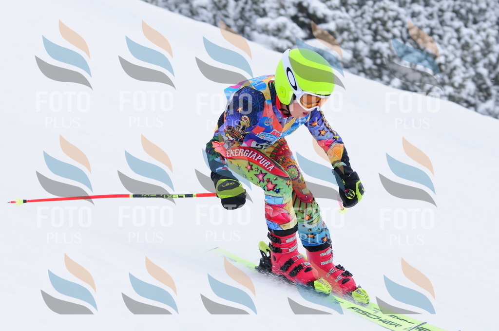 C3416 | holidayphoto