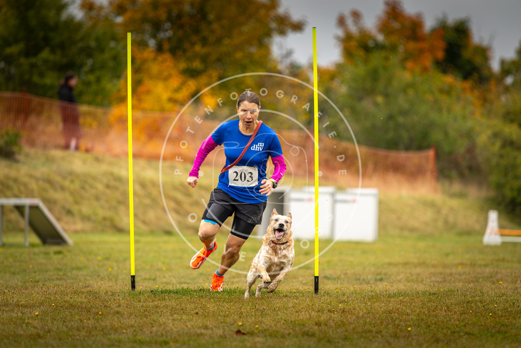 Pfotenfotografie_DV3A2022 | Hundefotografie, Tierfotograf, Pfotenfotografie, Fotoshooting Hund, Hunde Portrait, Hundesport, Hundeportraits, Heideshooting, Hunde, Sportfotograf, Hundefotograf, Turnierhundsport, THS,  - Realisiert mit Pictrs.com