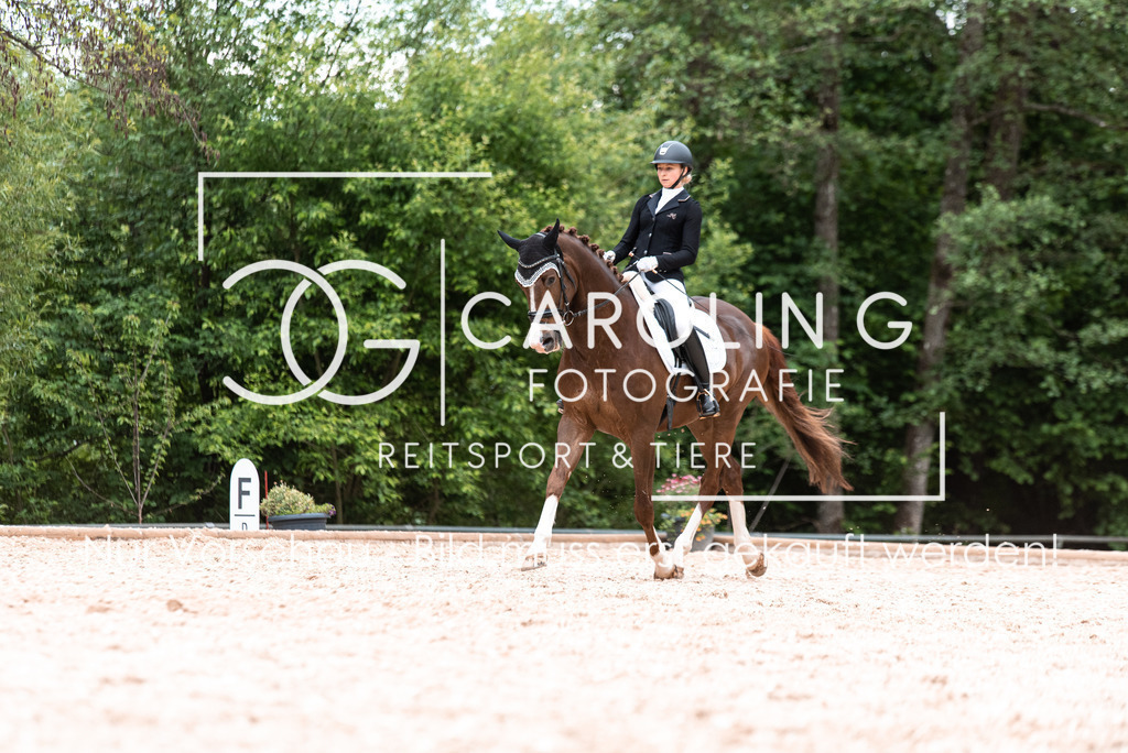 DSC_7629 | Turnierfotografin Carolin Gieschke, Turnierfotografie Carolin G Fotografie, Turnierfotos Kirchheim/Teck, Esslingen, Stuttgart, Bodenseekreis