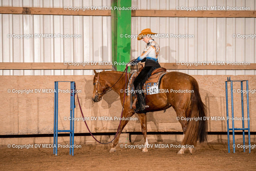 BA300642 | dv-media-shop - Realisiert mit Pictrs.com