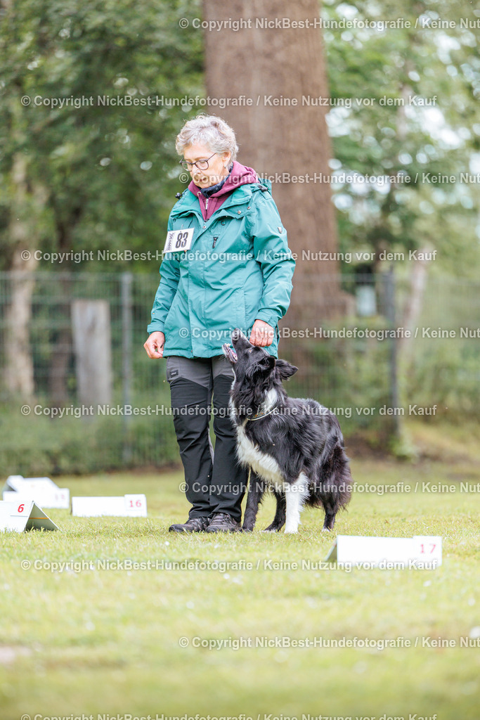 RO-Blumenthal-2026-Nickbest-Hundefotografie-5493 | Dein Hund! Dein Moment! Deine Erinnerungen! Hundefotografie in Bremen Blumenthal. Ich fange die besonderen Momente deines Vierbeiners ein – ob Indoor mit Blitzanlage oder in der freien Natur. Sicher dir dein Moment und dein Termin für eure Erinnerungen.