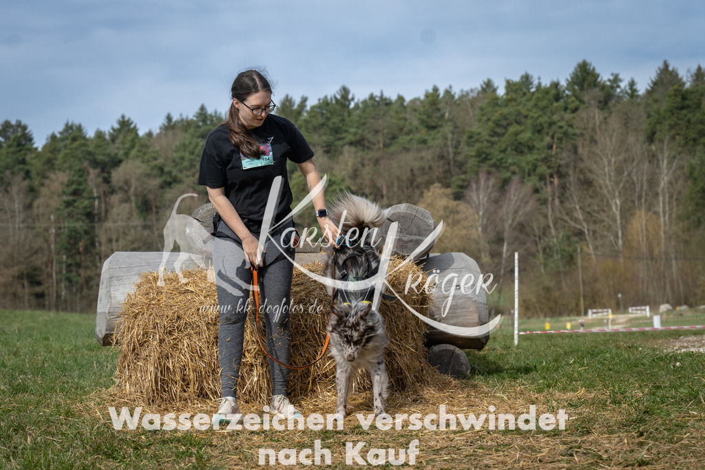 1052_ZZ94456 | kk-dogfotos