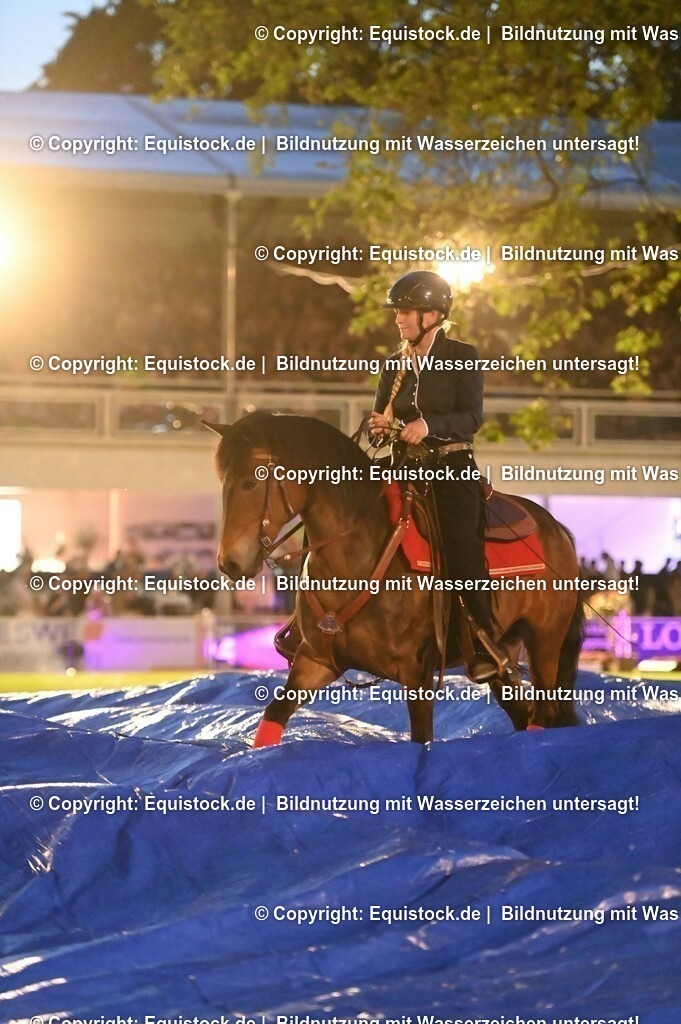 20230526_Pferdenacht_1011 | equistock