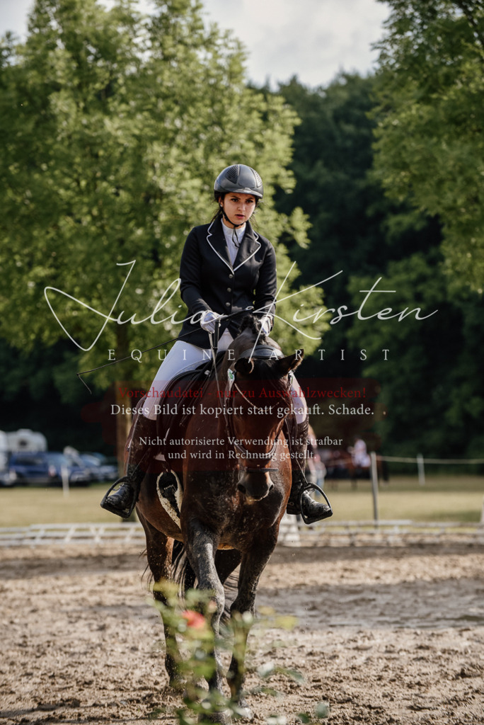DSC_8623 | Pferde- und Turnierfotografie in Westsachsen. Pferdeportraits, Auftragszeichnungen und intuitive Kunst.