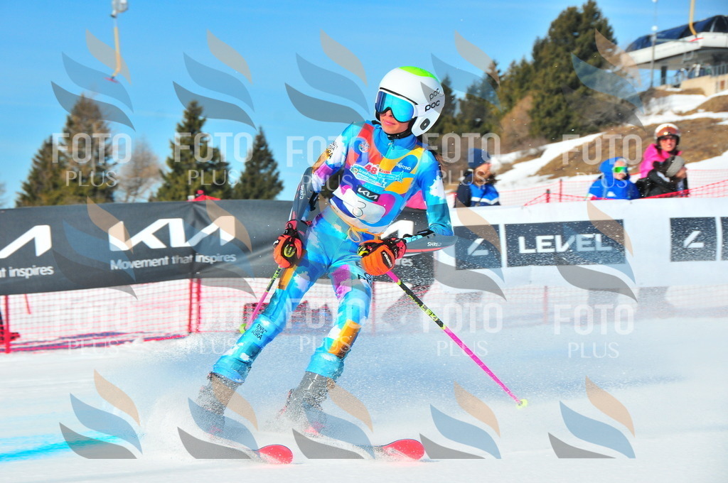 DSC_3678 | holidayphoto