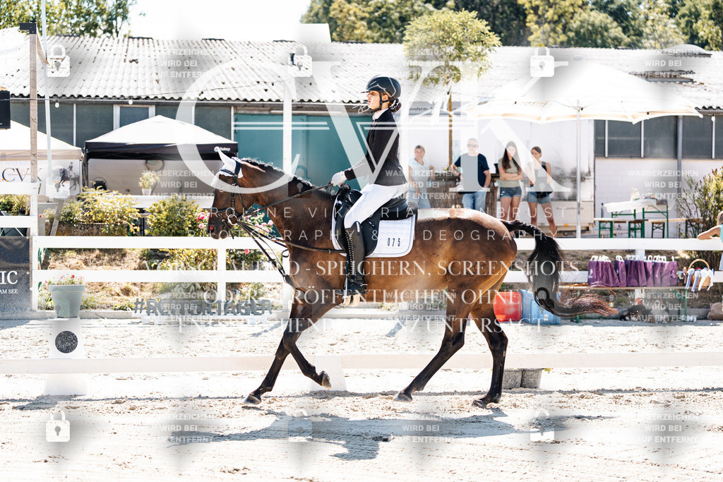 CK902300 | Turnierfotografie Pferdefotografie Trier Rheinland-Pfalz Pferdesport Reitsport Tierfotografie Sportfotografie Pferdevideo Pferdevideografie Equestrianvideography equestrianphotography  - Realisiert mit Pictrs.com