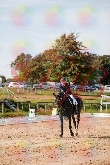 2026_10_03_Siefer-Hof_115825_Z63_31455401 | Professionelle Reitsport-, Turnier- und Eventfotografie von Robert Broda. Galerien mit ausgewählten und bearbeiteten Bildern direkt online ansehen und bestellen.