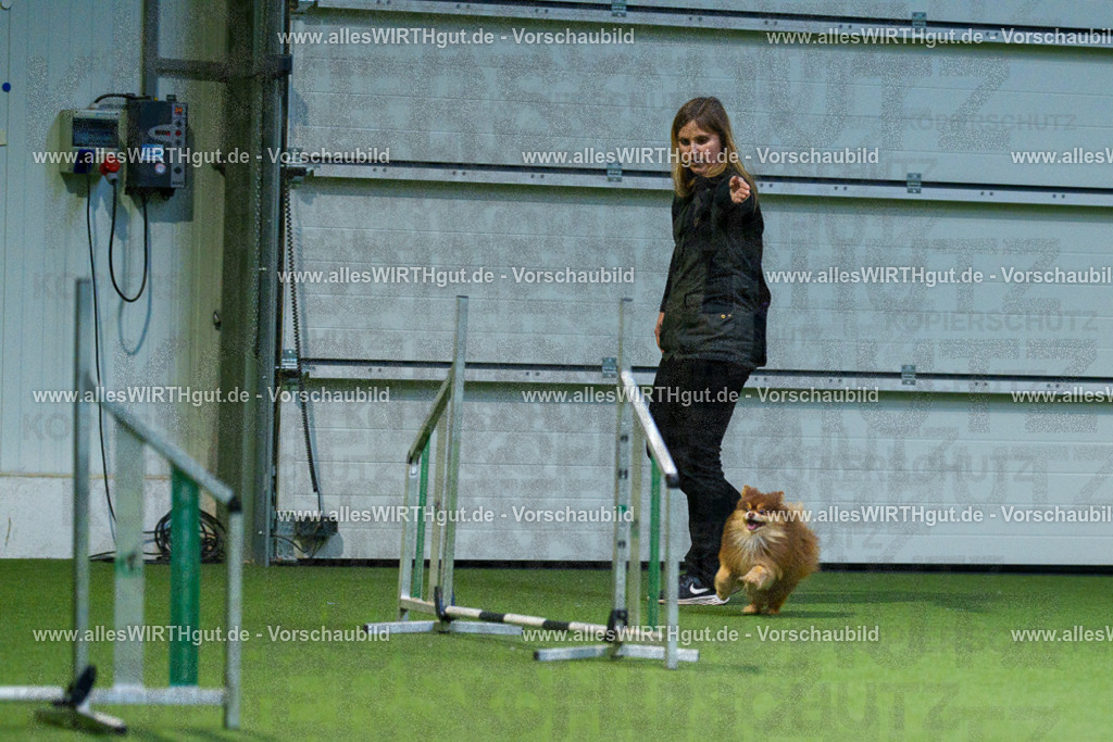 7R506796 | Professionelle Tierfotografie in Mönchengladbach von Daniel Wirth (allesWIRTHgut). Liebevolle & natürliche Bilder von Hunden & Katzen für unvergessliche Erinnerungen.