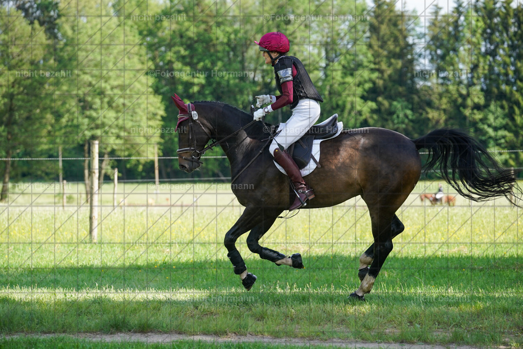 20240518-FAH04119 | Turnierbilder von Niederseon, Turnierfotografen Bayern, Fotoagentur Herrmann, Geländebilder, Reitsportfotografie