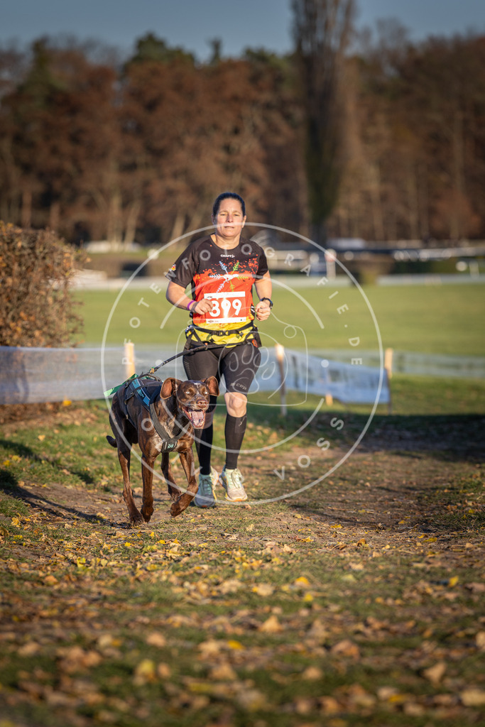 CaniXpix_DV3A4570 | Hundefotografie, Tierfotograf, Pfotenfotografie, Fotoshooting Hund, Hunde Portrait, Hundesport, Hundeportraits, Heideshooting, Hunde, Sportfotograf, Hundefotograf, Turnierhundsport, THS,  - Realisiert mit Pictrs.com