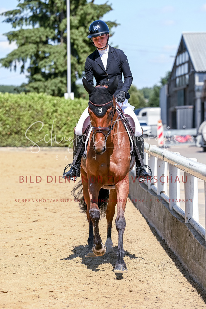 Schugtsche-Aluta25-49.Dressurpferdeprf.A-456 | Schugtsche Fotografie - Realisiert mit Pictrs.com