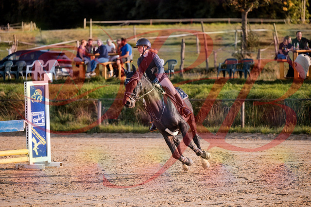 2026_10_03_Siefer-Hof_171535_Z81_12908429 | Professionelle Reitsport-, Turnier- und Eventfotografie von Robert Broda. Galerien mit ausgewählten und bearbeiteten Bildern direkt online ansehen und bestellen.