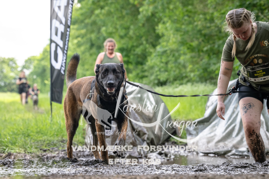 1239_ZZ92782 | kk-dogfotos