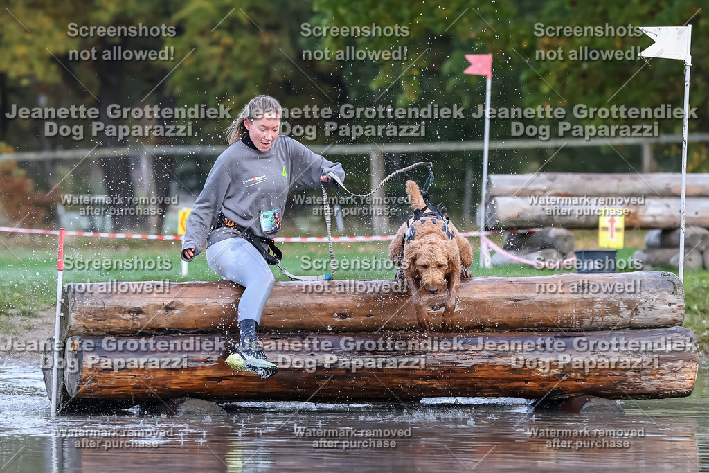 Dog Paparazzi - Strongdog 10-25-6441 | Dog Paparazzi Jeanette Grottendiek Fotografie & Videografie - Realisiert mit Pictrs.com