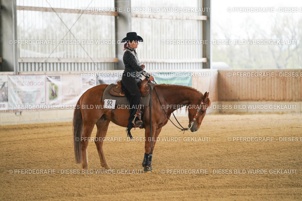 DSC08375 | Pferdegrafie