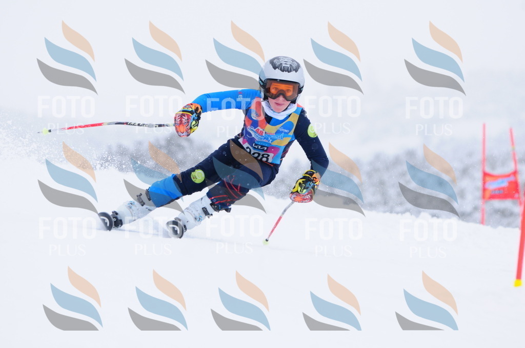 C2393 | holidayphoto