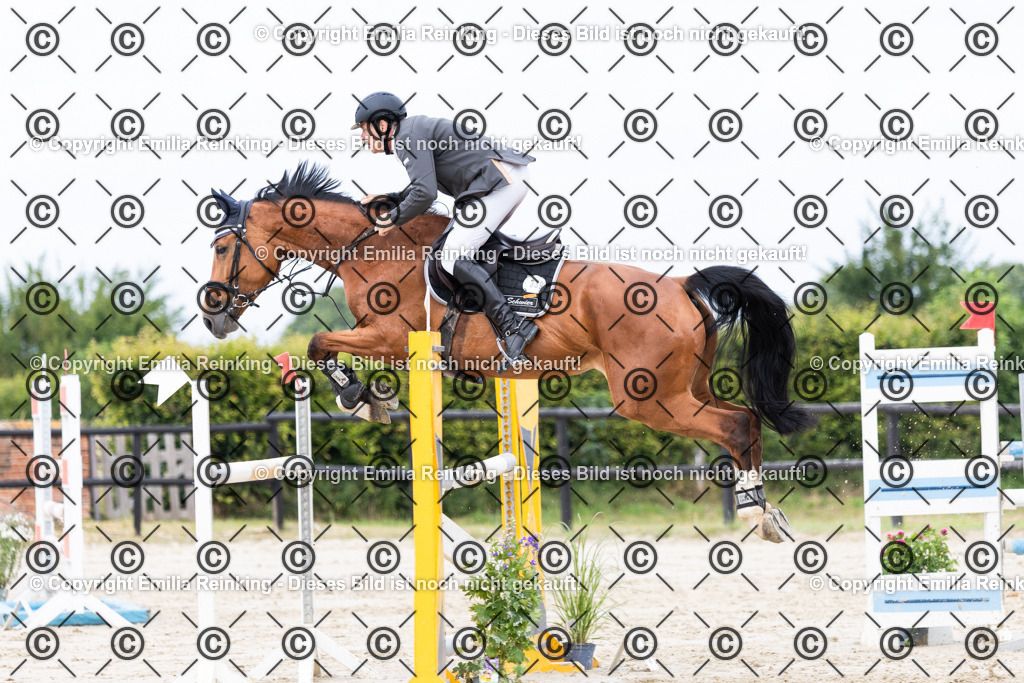 CL5A5656 | Emilia Reinking Fotografie - Realisiert mit Pictrs.com