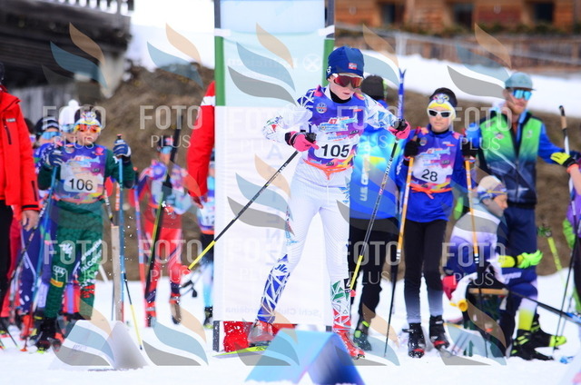 DAV_1419 | holidayphoto