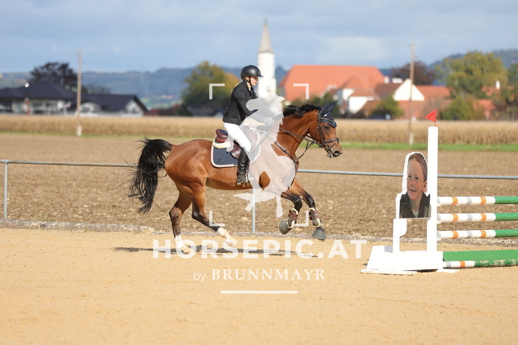 0P6A0645 | Willkommen bei Brunnmayr - Design & Fotografie – Ihrem Spezialisten für Reitturniere und Pferdeveranstaltungen in Oberösterreich, Salzburg und Bayern! Seit über 17 Jahren sind wir leidenschaftlich dabei.