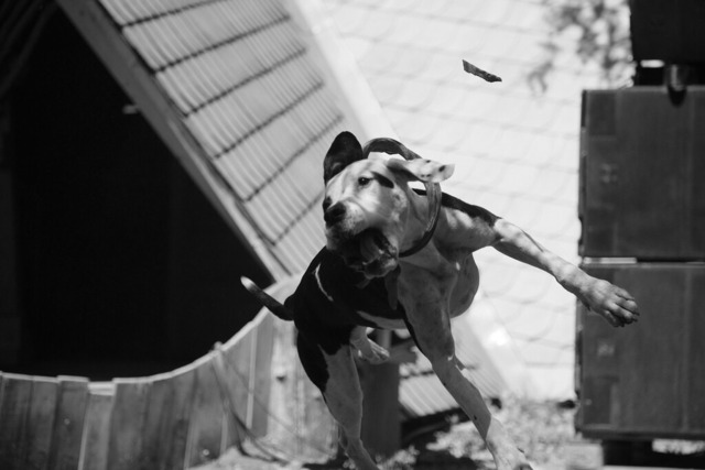 006-Ozora-_XP31927 | blende43