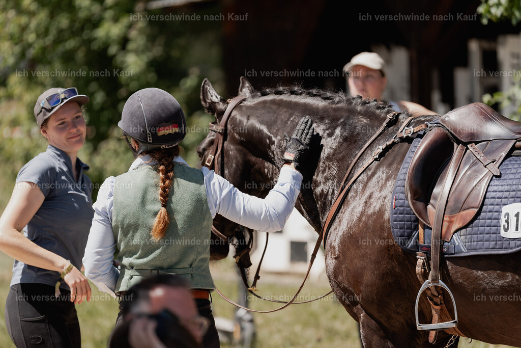 WE_SP_Stoib_315_PI2025_1884 | Pferd International München 2025