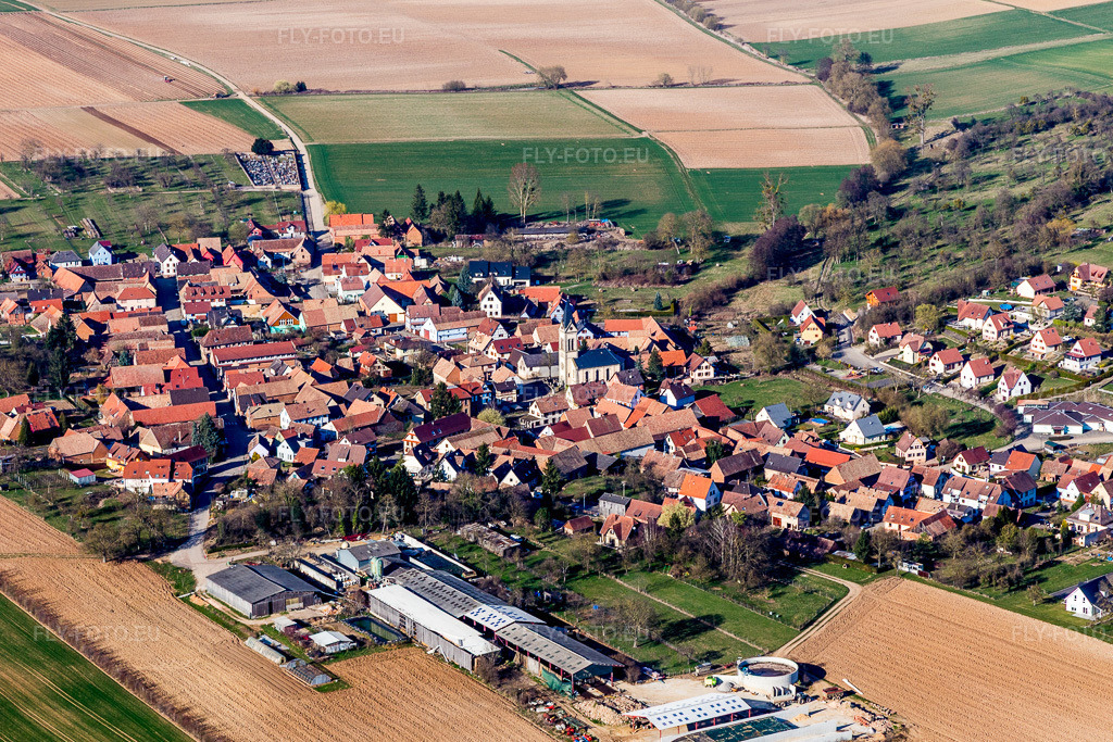Vue aérienne: Champs agricoles et terres arables à Melsheim dans le département Bas Rhin, France – .Photo: IMG_097572.jpg prise le 16/03/2017 par Werner Riehm/FLY-FOTO.eu – Résolution de l'original: 5153 x 3435 px