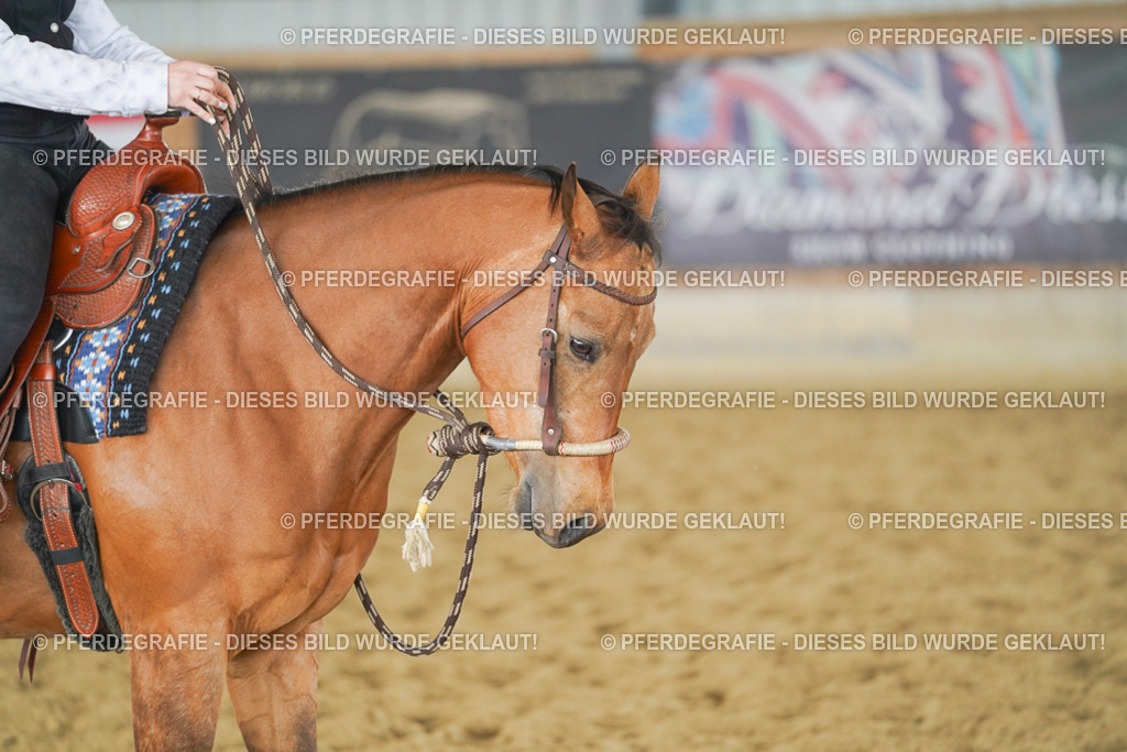 DSC04960 | Pferdegrafie