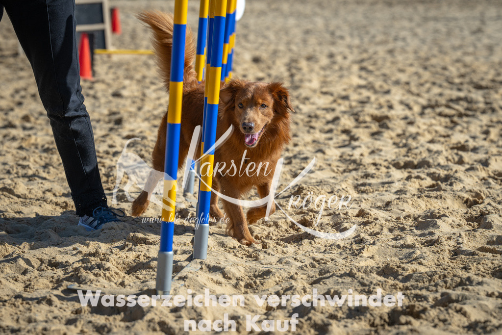 1455_ZZ92022 | kk-dogfotos