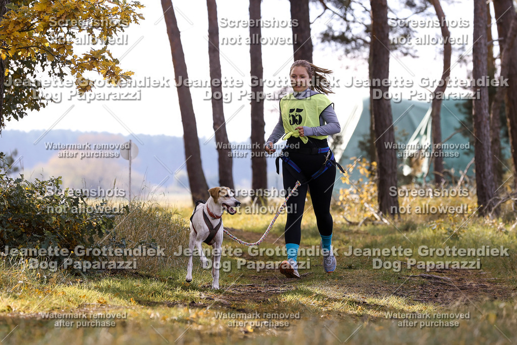 Dog Paparazzi - Elsholz 25 -202 | Dog Paparazzi Jeanette Grottendiek Fotografie & Videografie - Realisiert mit Pictrs.com