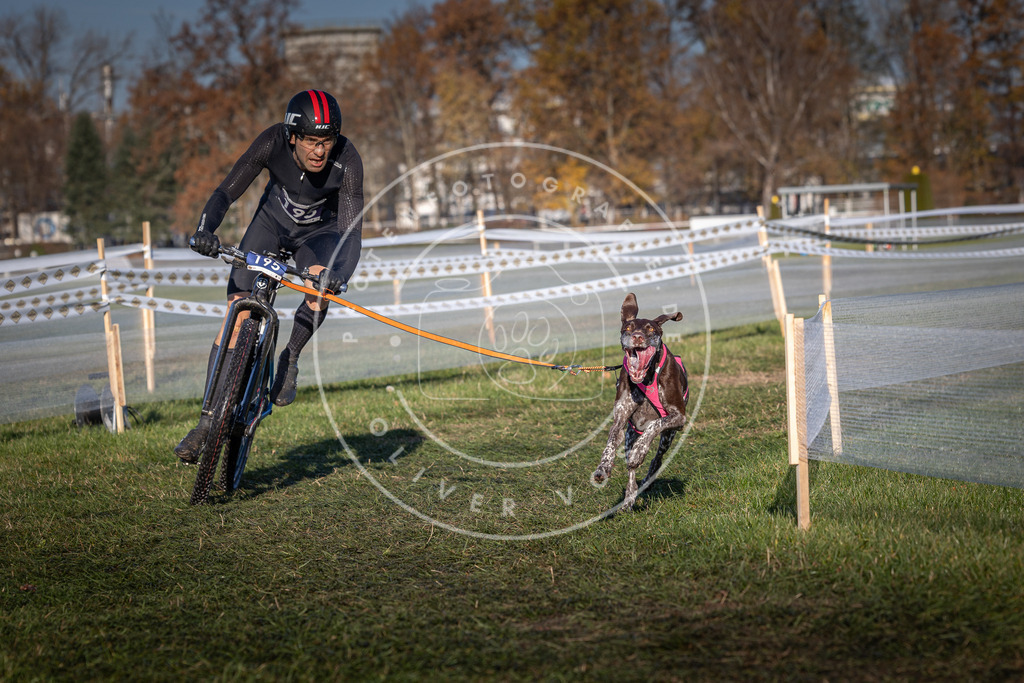 CaniXpix_0L8A4267 | Hundefotografie, Tierfotograf, Pfotenfotografie, Fotoshooting Hund, Hunde Portrait, Hundesport, Hundeportraits, Heideshooting, Hunde, Sportfotograf, Hundefotograf, Turnierhundsport, THS,  - Realisiert mit Pictrs.com