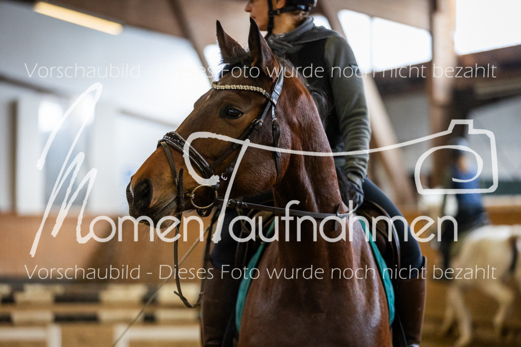 LehrgSth24-059 | MomenTaufnahmen Pferdesportfotos