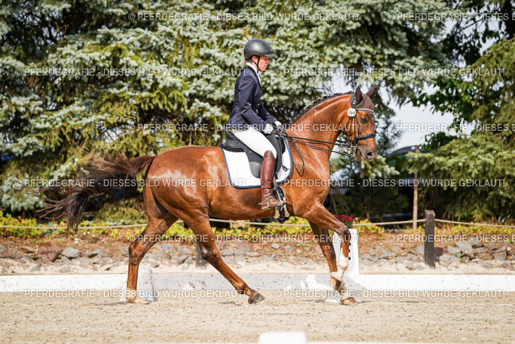 DSC06984 | Pferdegrafie