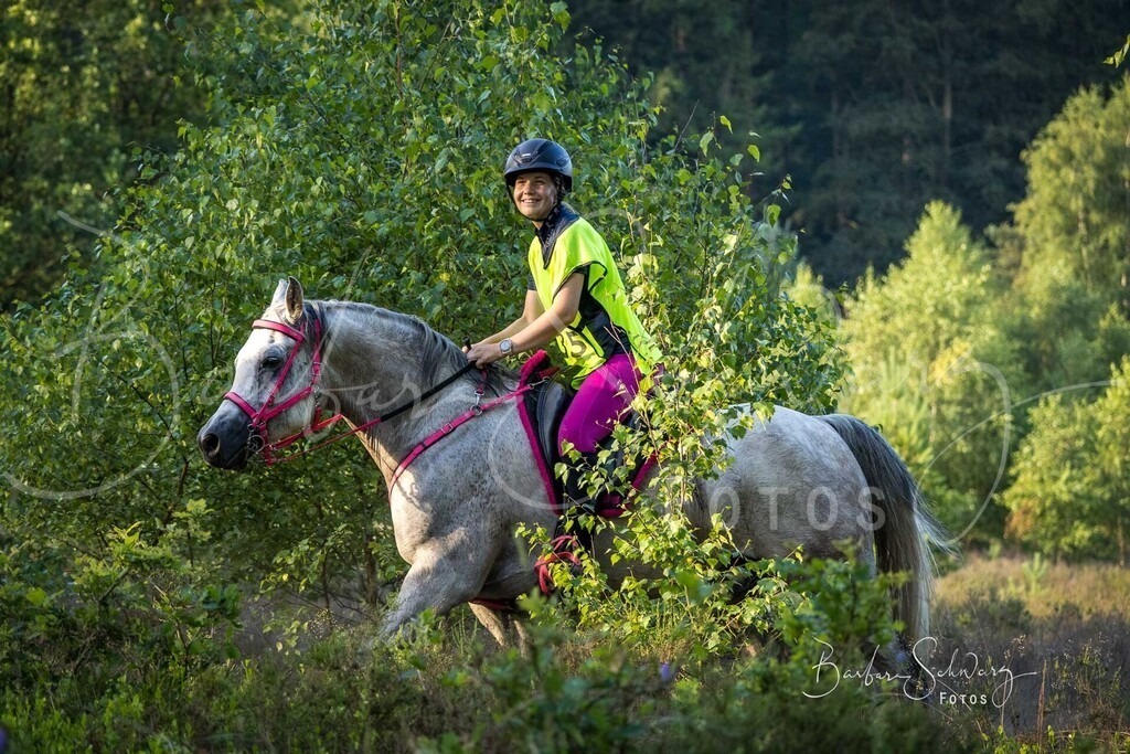 WehlenerHeide_2026-06-27_24 | Stimmungsvolle Fotografie von Pferden, fotografische Begleitung von Veranstaltungen, Golfturnieren und Distanzritten - Realisiert mit Pictrs.com