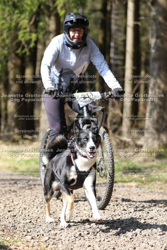Dog Paparazzi - VCC26-235 | Dog Paparazzi Jeanette Grottendiek Fotografie & Videografie - Realisiert mit Pictrs.com