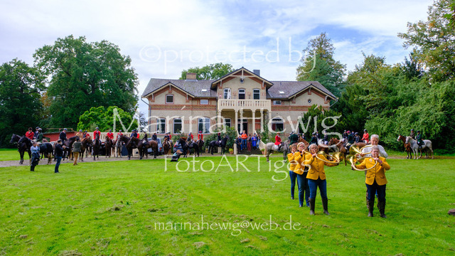 Jagd Perdoel 26 Fuji-9879_MarinaHewig | Fotografie, FotoArt, PferdesportArt, Pferdesportfotografie, Landschaftsfotografie, Reisefotografie, Reise, Pferde - Realisiert mit Pictrs.com