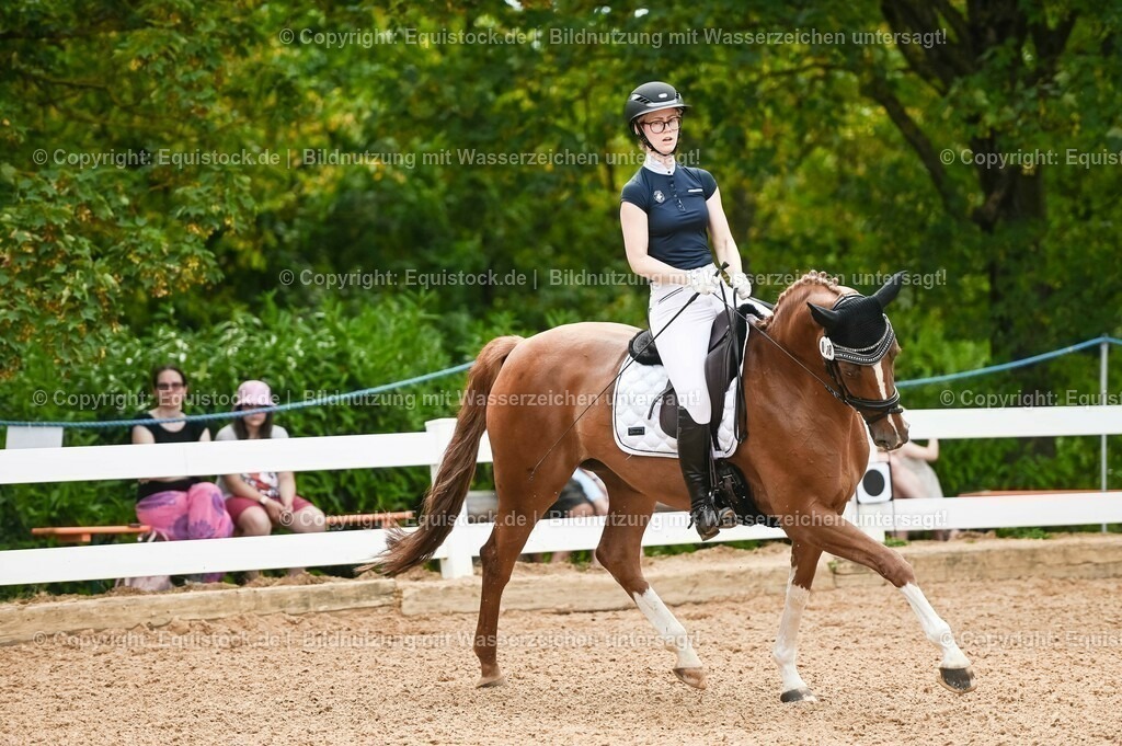 20230715_07_Dressurpferdeprfg. Kl.L_0077 | equistock