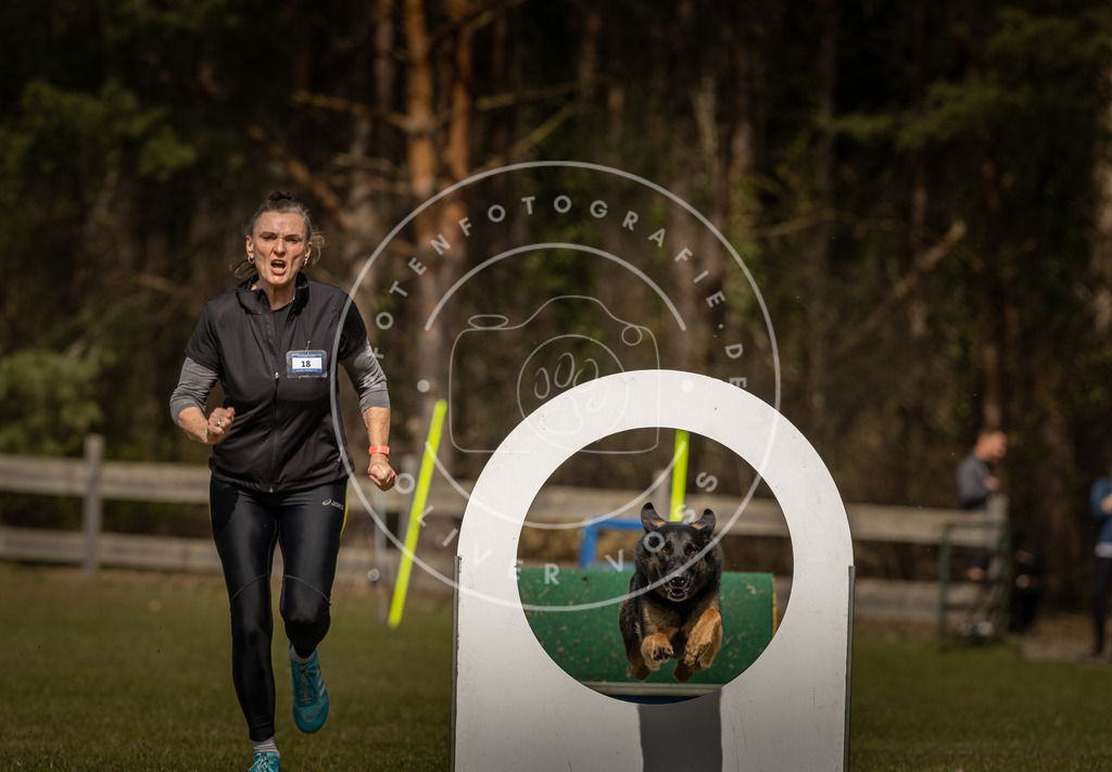 Pfotenfotografie_DV3A5130 | Hundefotografie, Tierfotograf, Pfotenfotografie, Fotoshooting Hund, Hunde Portrait, Hundesport, Hundeportraits, Heideshooting, Hunde, Sportfotograf, Hundefotograf, Turnierhundsport, THS,  - Realisiert mit Pictrs.com