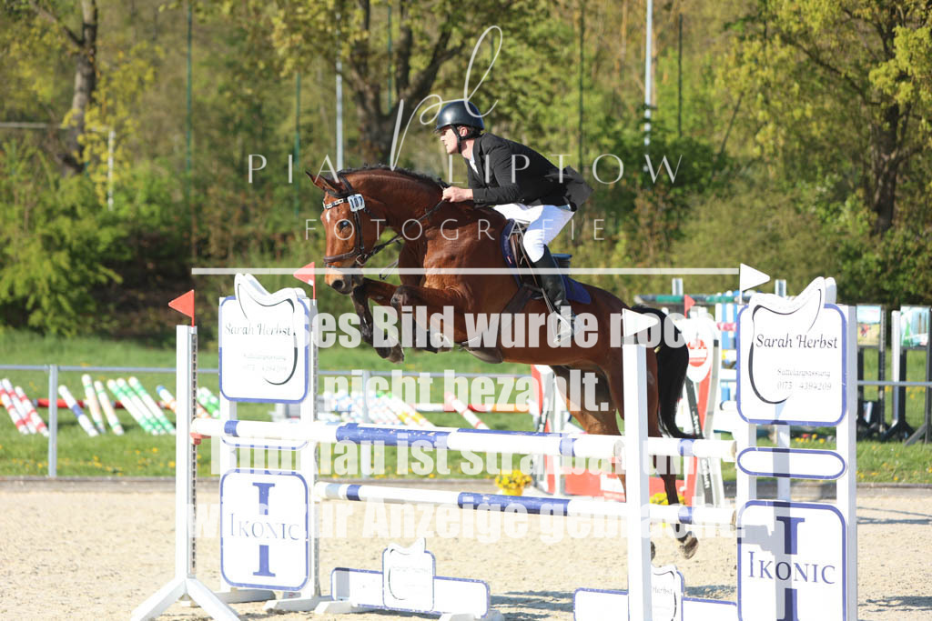 IMGM2856 | pl-fotografie