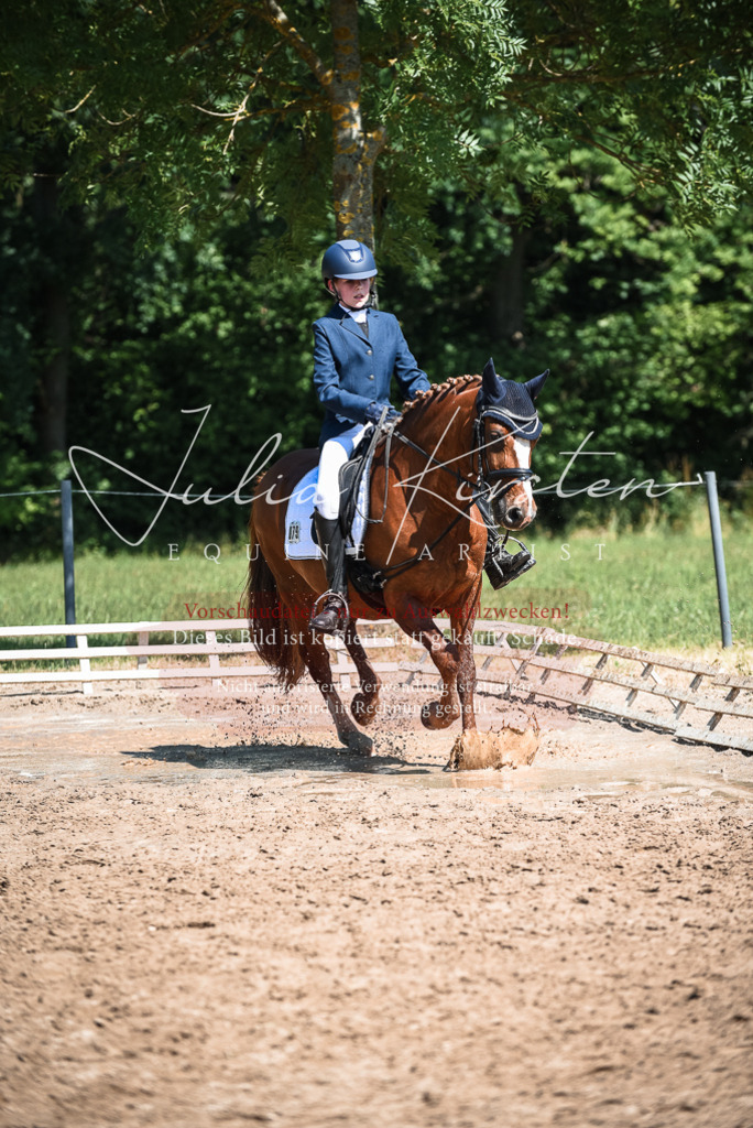 DSC_3522 | Pferde- und Turnierfotografie in Westsachsen. Pferdeportraits, Auftragszeichnungen und intuitive Kunst.