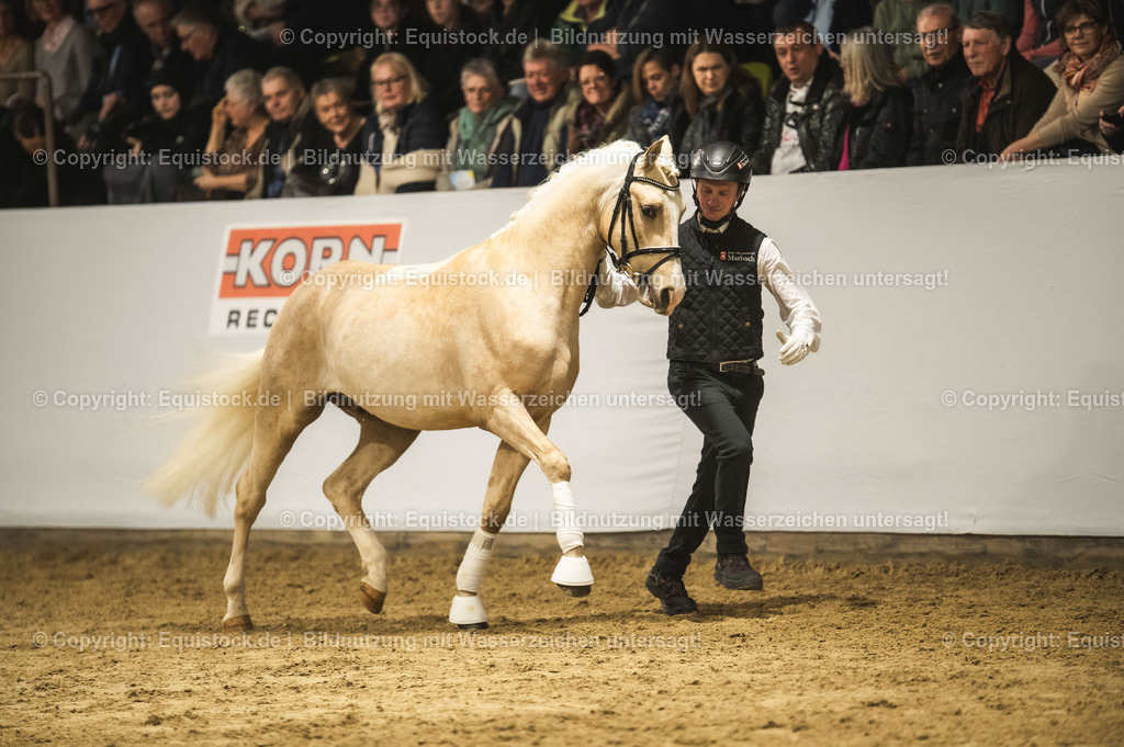 20240302_Hengstvorstellung_Marbach_TOMsPiC_0802-2 | equistock