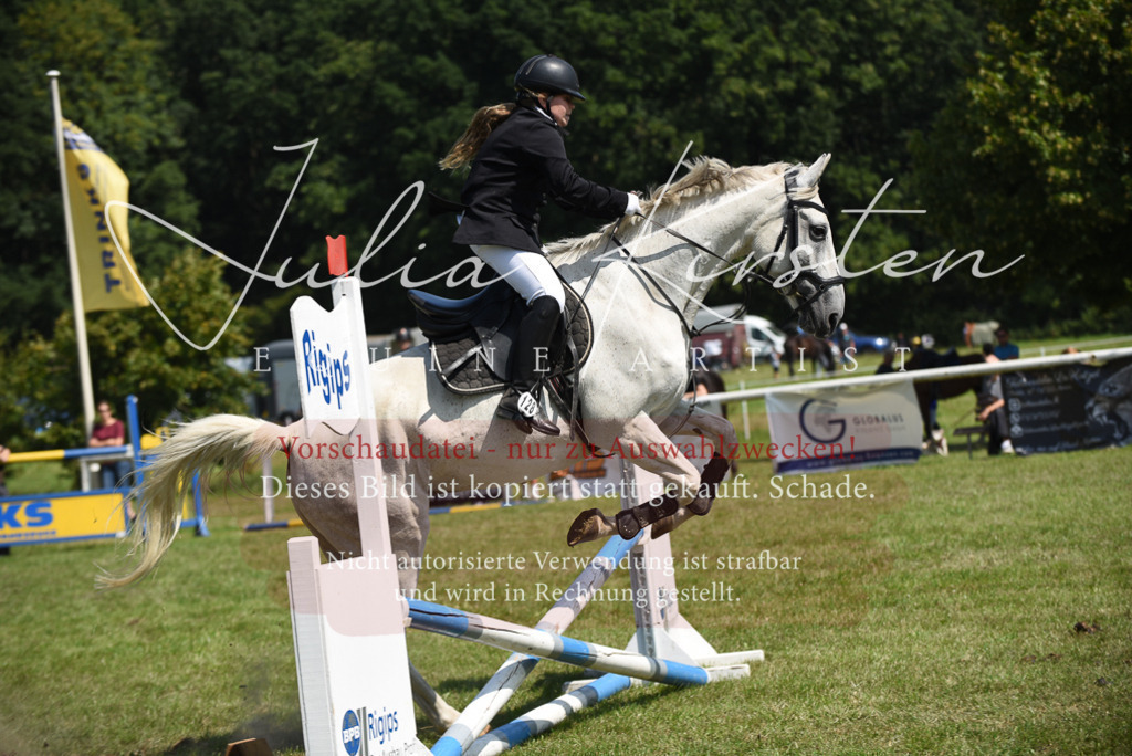DSC_9886 | Pferde- und Turnierfotografie in Westsachsen. Pferdeportraits, Auftragszeichnungen und intuitive Kunst.