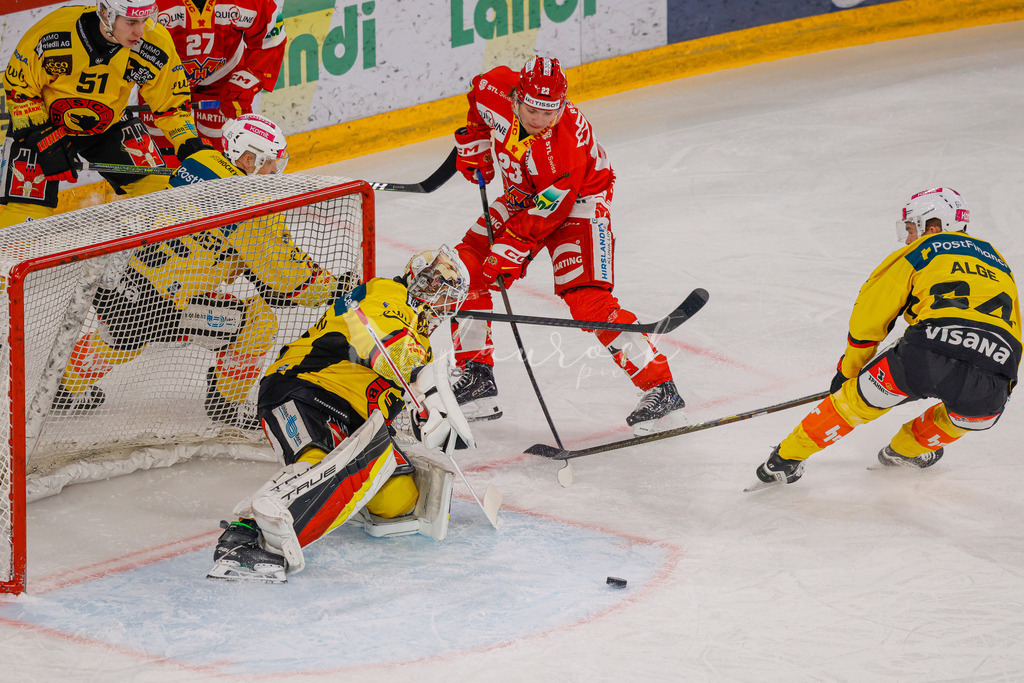 EHCB vs SCB 20260110_wb-2938 | Sportbilder, Sportfotograf, Hochzeits- und Eventfotografin, Flugshows, Portraits und Tiershooting, Aviation, Downhill, Nationalleague, Swissleague, International