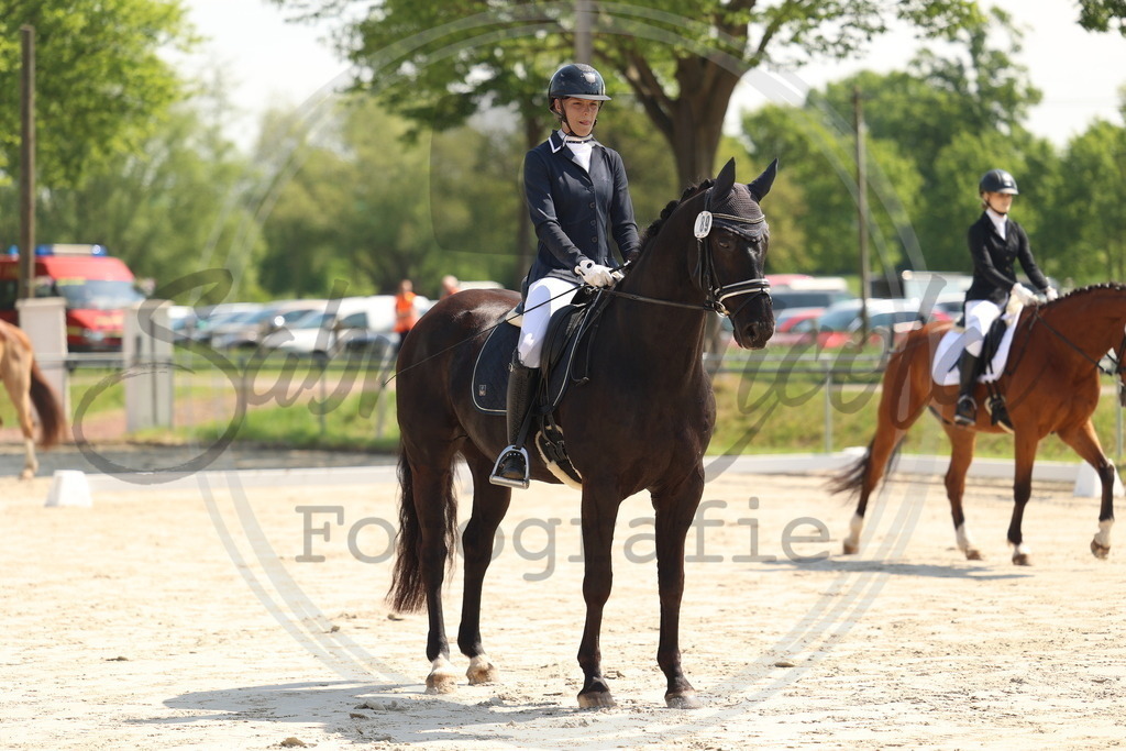 994A7069 | sabrinanicolaifotografie - Realisiert mit Pictrs.com