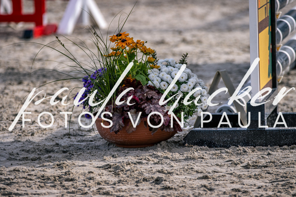 IMG_5480 | Erleben Sie dynamische Sport- und emotionale Tierfotografie in Süddeutschland mit Fotos von Paula. Spezialisiert auf Pferde- und Hundefotografie sowie Sportevents. Kontaktieren Sie mich für einzigartige und ausdrucksstarke Bilder Ihrer besonderen Momente. - Realisiert mit Pictrs.com