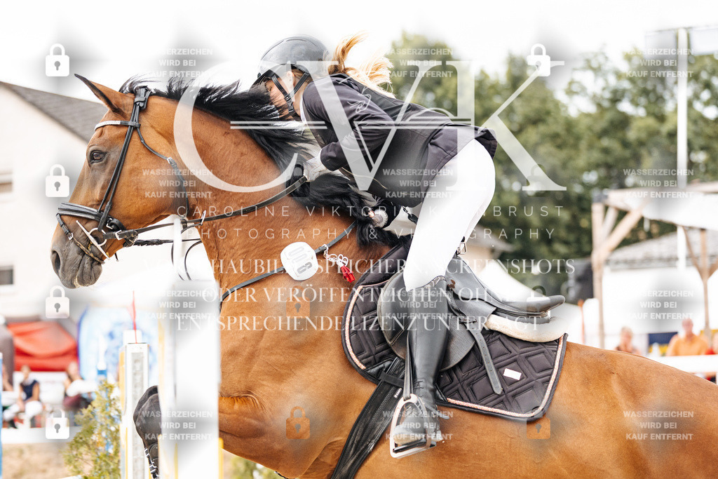 CK906266 | Turnierfotografie Pferdefotografie Trier Rheinland-Pfalz Pferdesport Reitsport Tierfotografie Sportfotografie Pferdevideo Pferdevideografie Equestrianvideography equestrianphotography  - Realisiert mit Pictrs.com