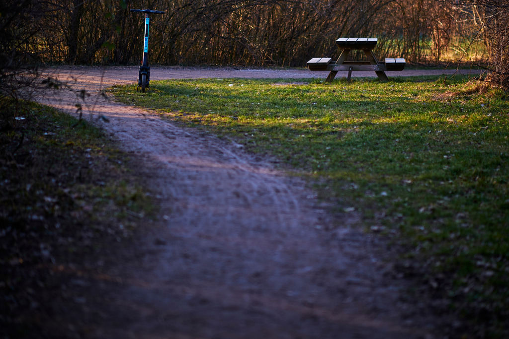Weg im Wald mit Rastplatz und Akkuroller | Wien, Austria - March 02, 2021: Weg im Wald mit Rastplatz und abgestelltem Akkuroller. - Realisiert mit Pictrs.com
