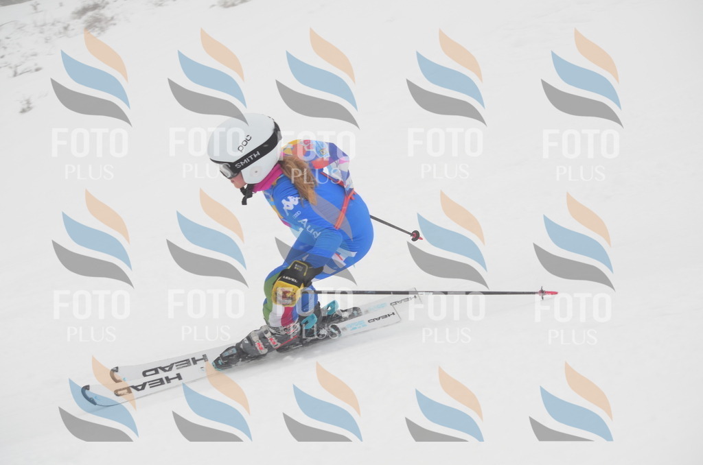 C1290 | holidayphoto