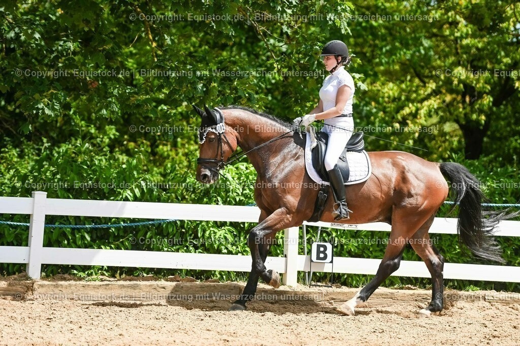 20230715_05_Dressurprüfung Kl.A++_0431 | equistock