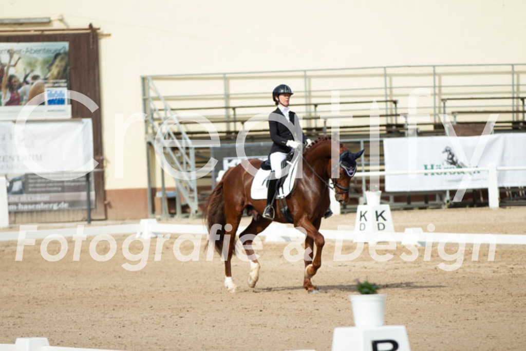 IMG_1098 | Creatify Fotografie